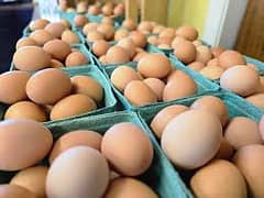 Desi Eggs ( Looman hen Eggs )