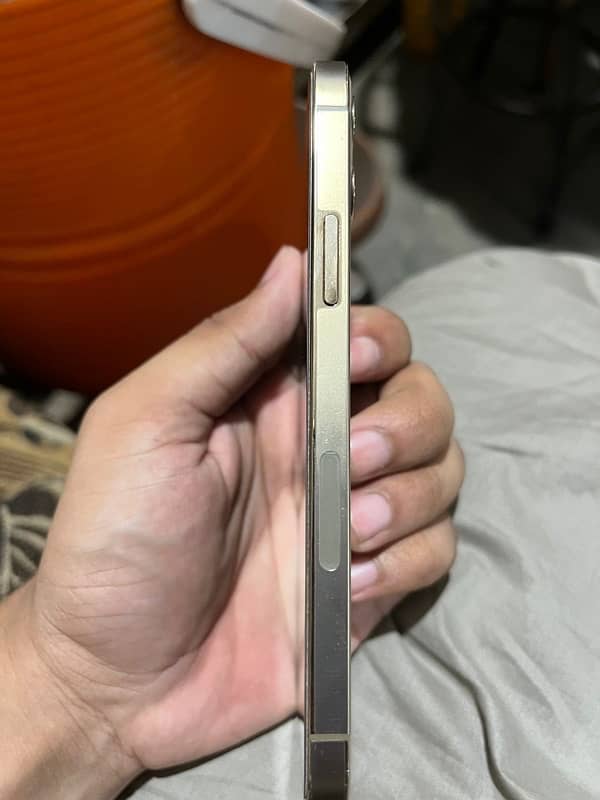 iPhone 12 Pro factory 3