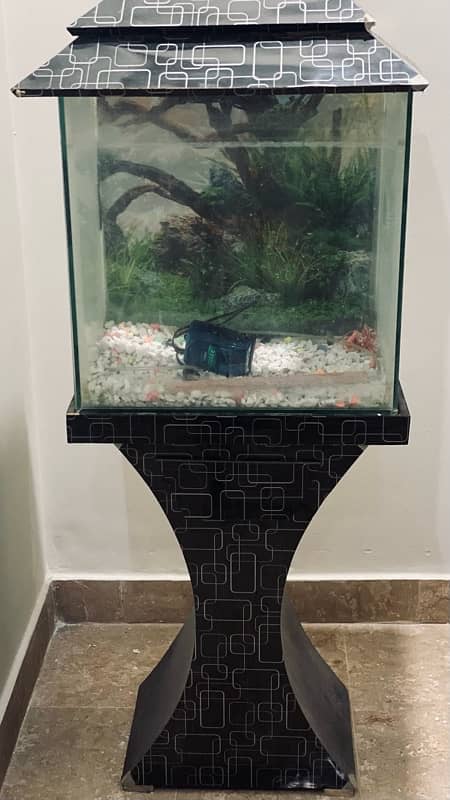 fish aquarium in just 13499 0