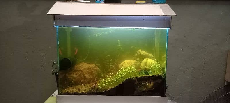 used aquarium in a good condition 0