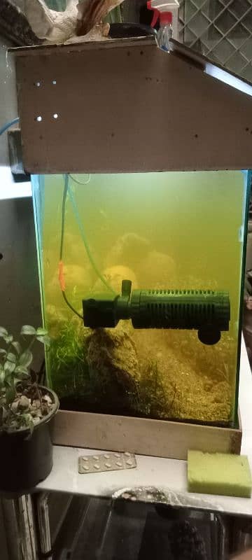 used aquarium in a good condition 1