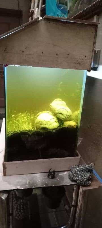 used aquarium in a good condition 2