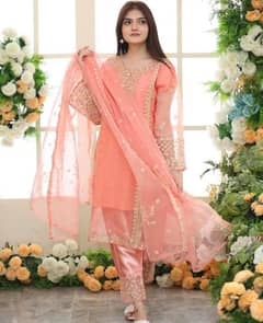 Stunning Embroided organza suit