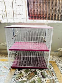 Cage for birds