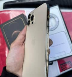 Iphone 12 pro max 256GB PTA approved 03464569931 WhatsApp