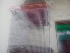 cage for parrots