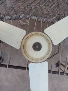 gfc celling fan 80watt 56inches (full size)