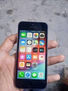 I phone 5s in Sialkot used mobile in Sialkot