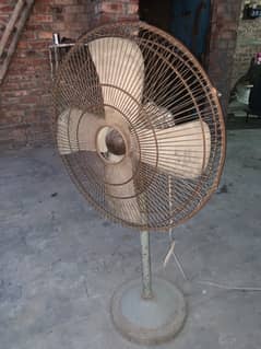 3. 	“M Floor Fan Available – Cool Your Space Now!”