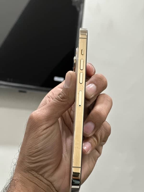 IPhone 13 Pro Max JV Golden 2