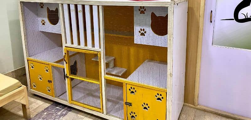 Cat house 1