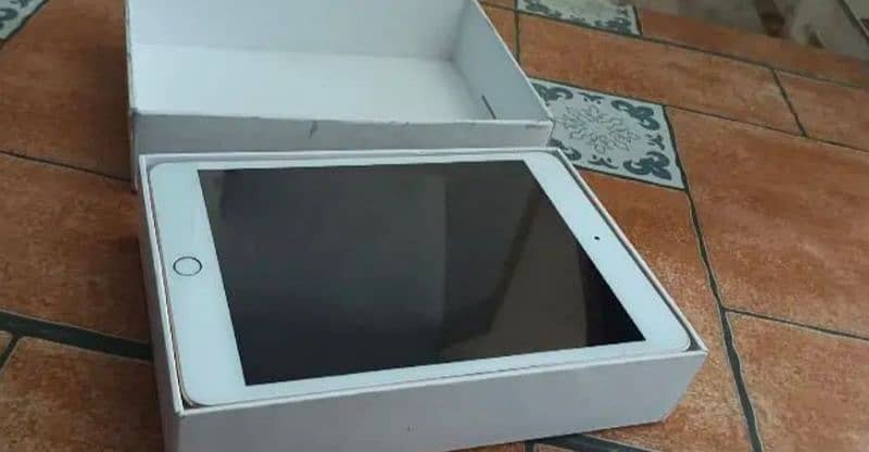 iPad Mini 5 0