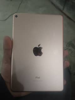 ipad mini 5