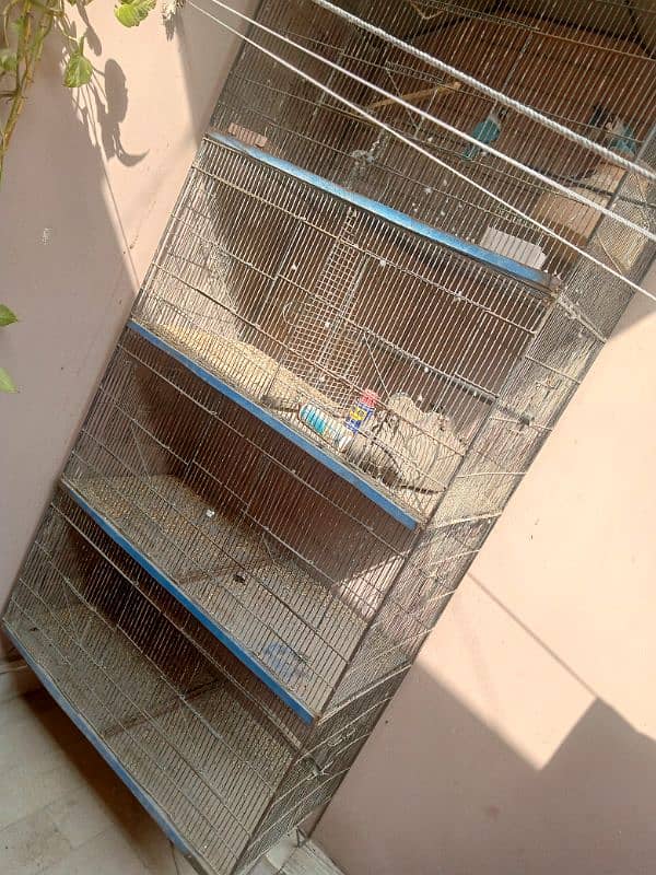 BIRDS CAGE 0