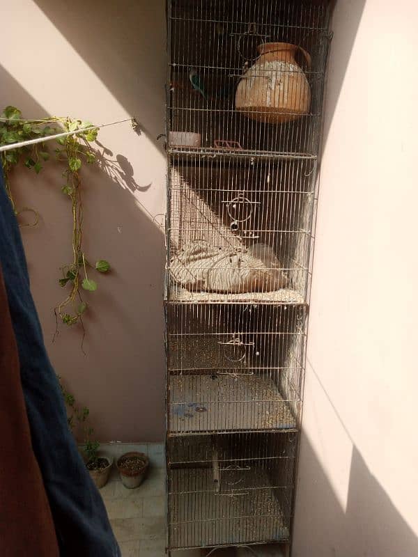 BIRDS CAGE 1