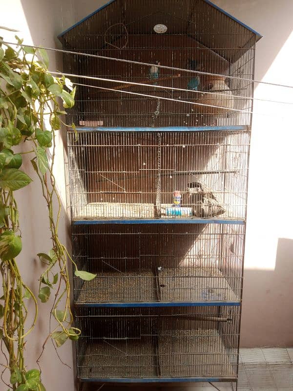 BIRDS CAGE 2