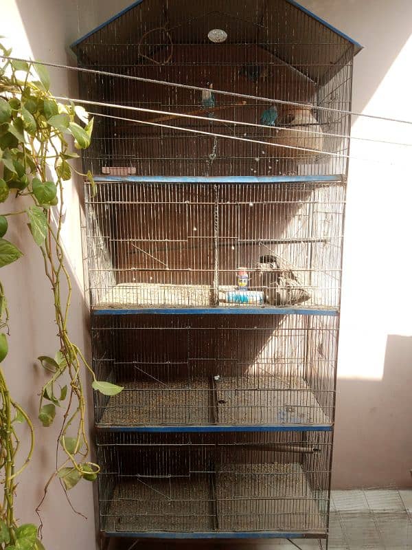 BIRDS CAGE 4