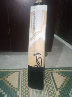 hard ball bat original Kukabura