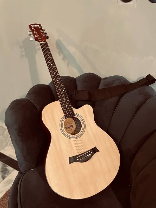 Hi Volts Acoustic Guitar Am-01A 6