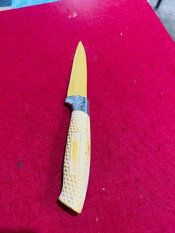 imported Fruit And Vagetable Cutting Sharp Knife 2