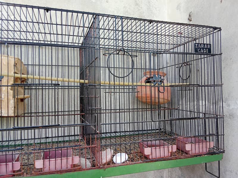 Love birds breeder pair iron cage 5