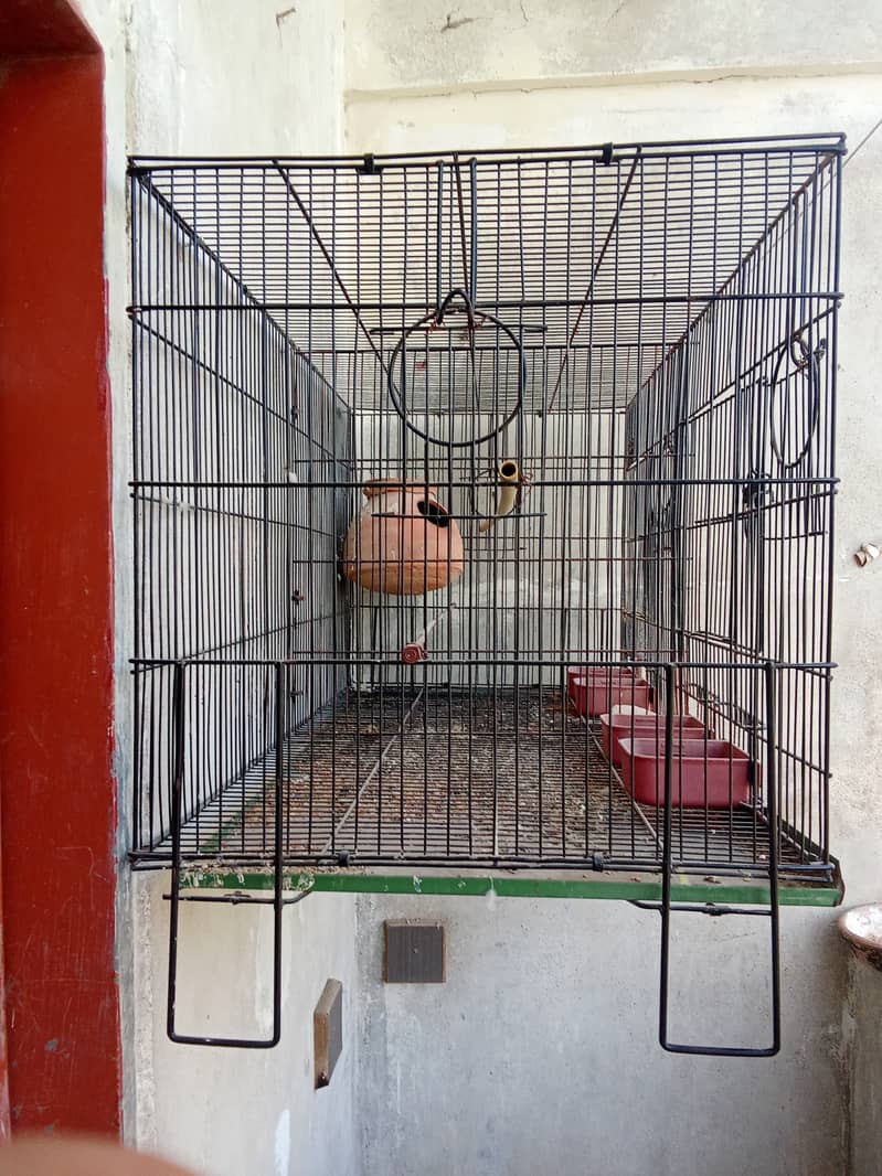 Love birds breeder pair iron cage 6