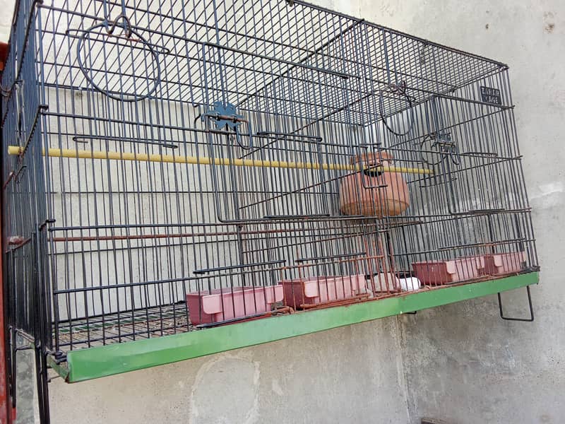 Love birds breeder pair iron cage 7