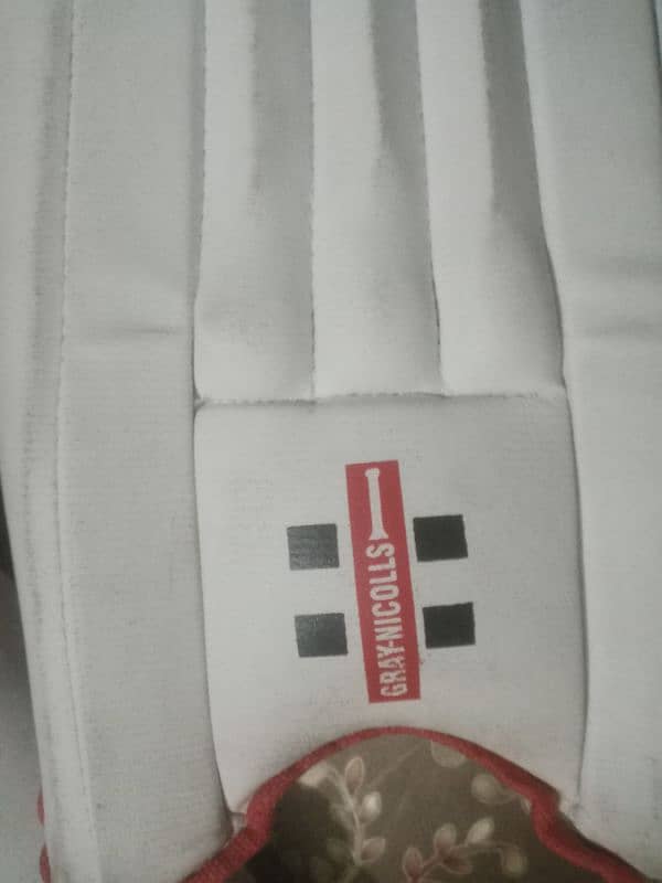 original.  Grey Nicolls  batting pads 1