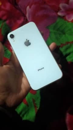 IPhone XR White colour 10/10