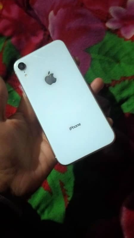 IPhone XR White colour 10/10 0