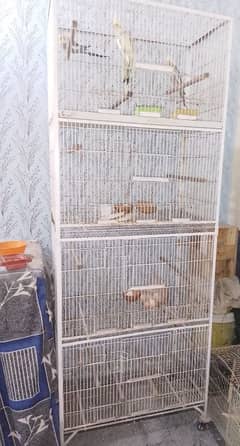 birds cages