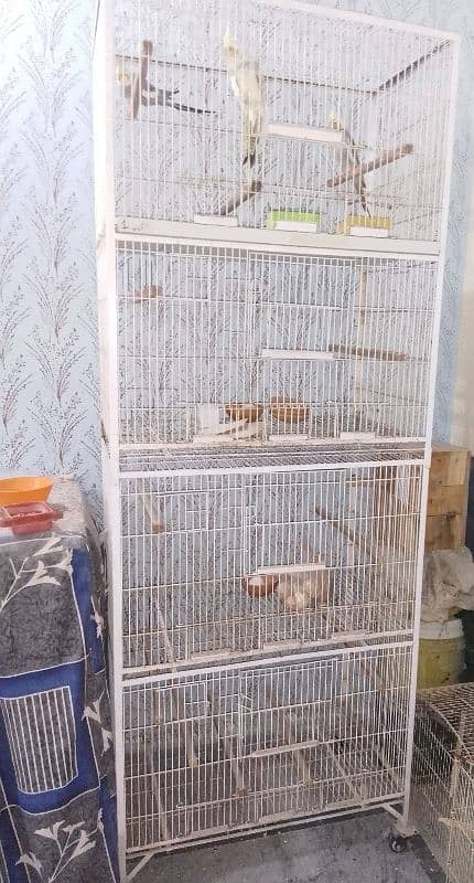 birds cages 0