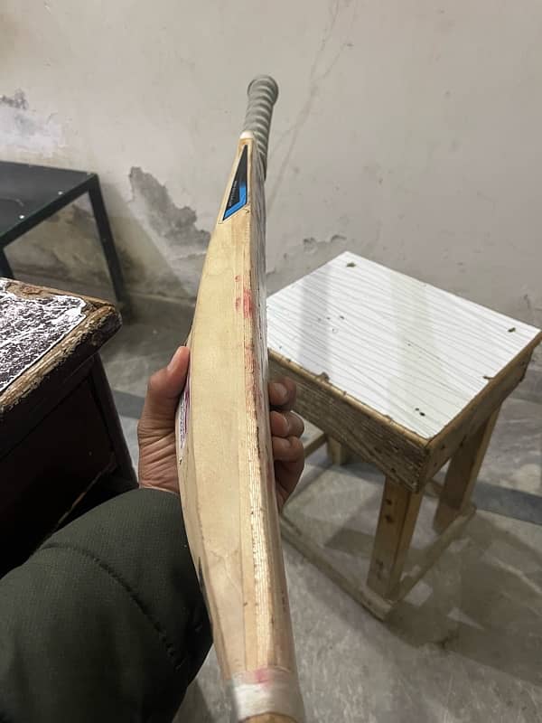 pure English willow bat 1