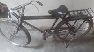 Bicycle for sale