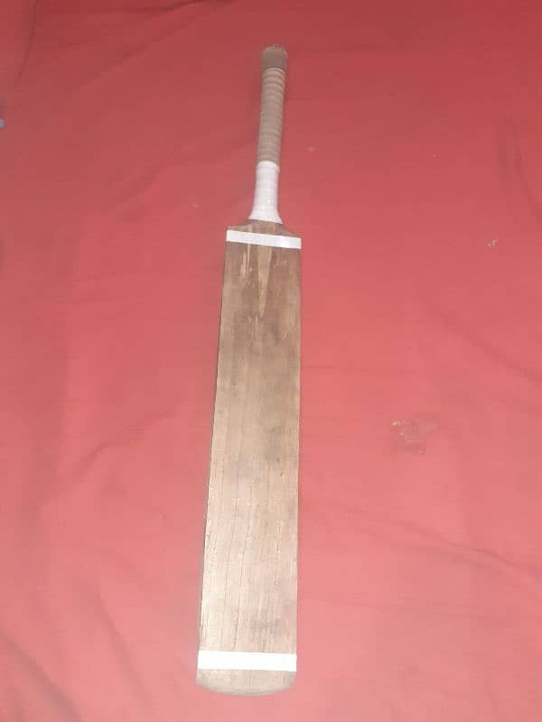 Gray Nicolls Hard Ball Bat 0