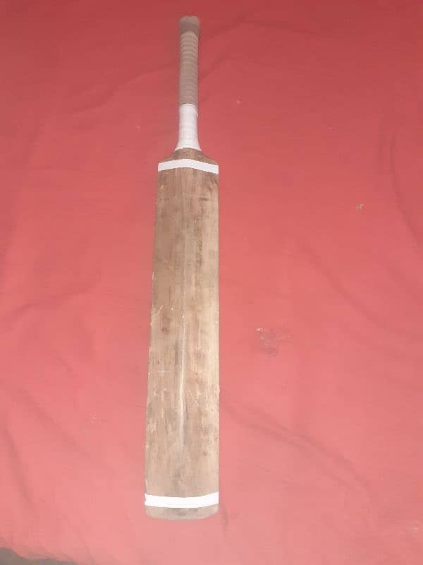 Gray Nicolls Hard Ball Bat 3