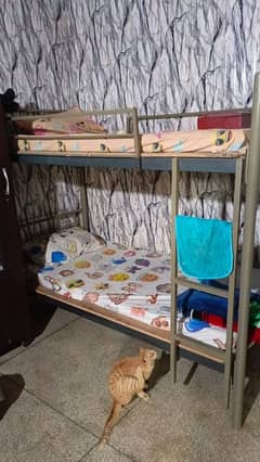 bunk beds for sale