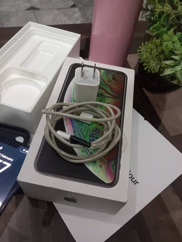 Apple iPhone XS Max - 256GB, NON PTA, Black - Excellent Condition! 10