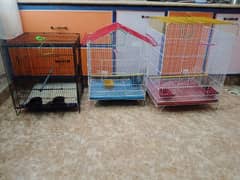 Cages for sale 0/3/4/8/1/6/6/2/3/8/8