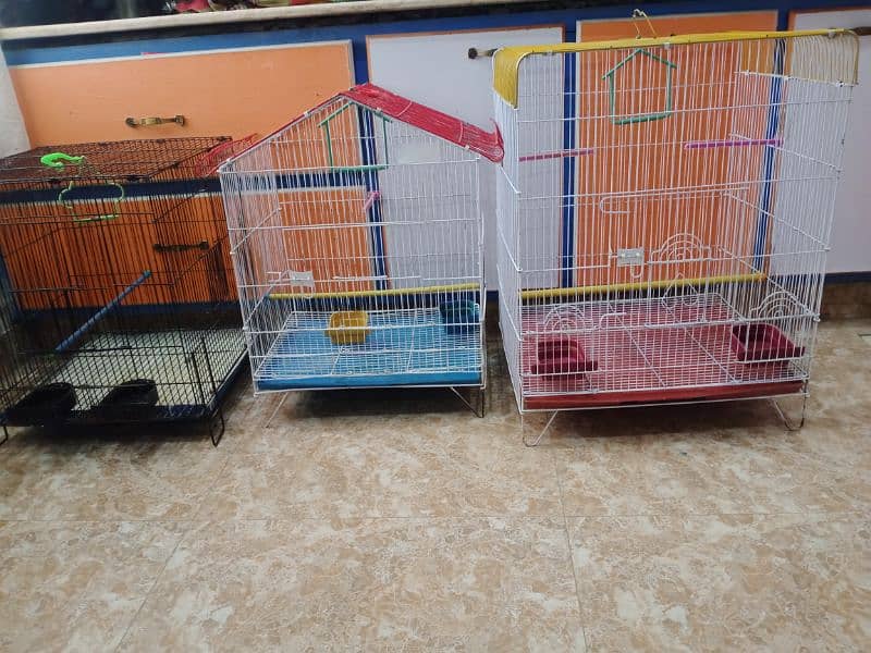 Cages for sale 0/3/4/8/1/6/6/2/3/8/8 5