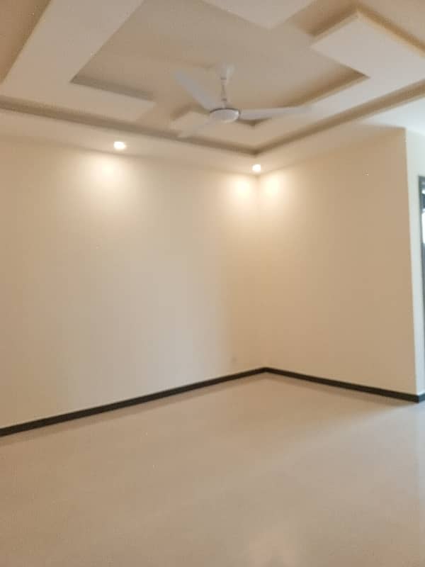 Brand New House Available For Rent In D-12 12