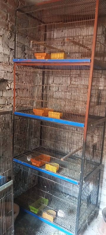 Breeder Lovebirds. white MURGA. cage. beeding keekar box 3