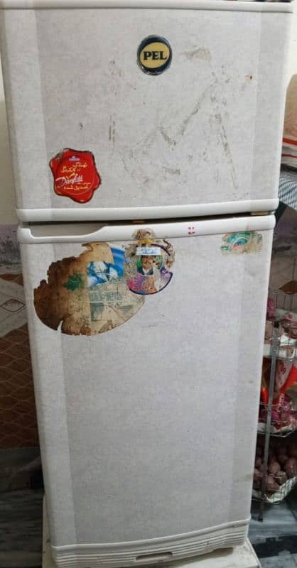 PEL REFRIGERATOR 1