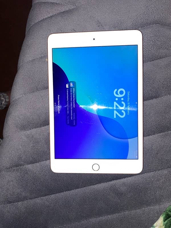 Ipad Mini 5 7