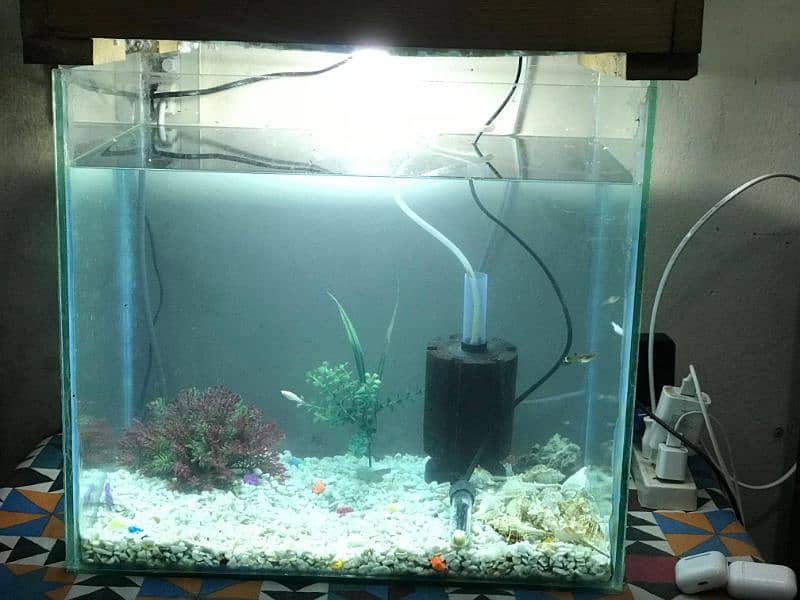 Aquarium, fishe and accessories 2