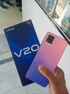 Vivo V20(8+256)