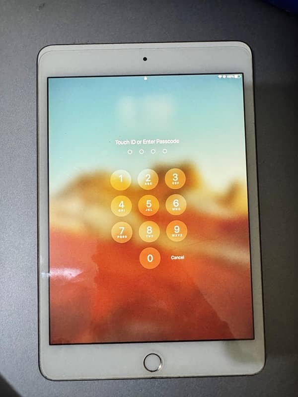 Apple Ipad mini 4 1