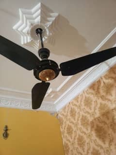 ceiling Fan for sale