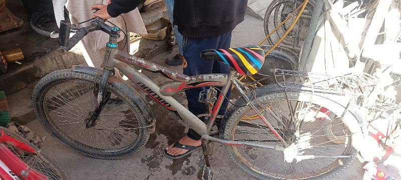 Cycle for sale 1