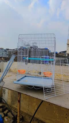 Cage,Pinjra,Gray Parrot Cage,Raw Parrot Cage,Folding Cage,Parrot Cage